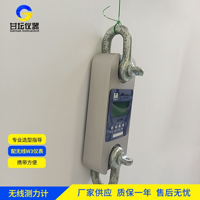 600t 测力计选购避坑要点​